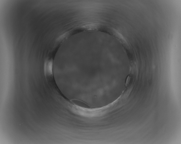 X0000112200047200908211549