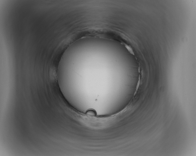 X0000112200048200908211549