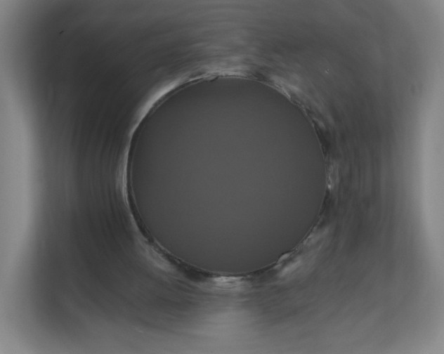 X0000112200052200908211549