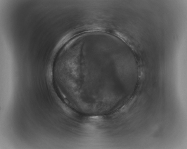 X0000112200053200908211549