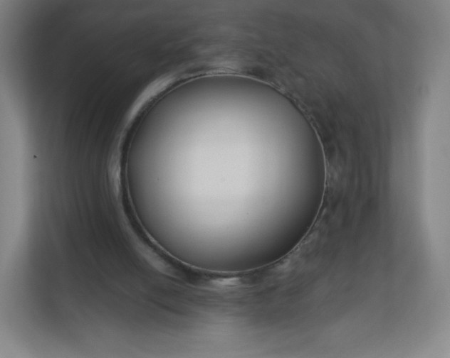 X0000112200054200908211549