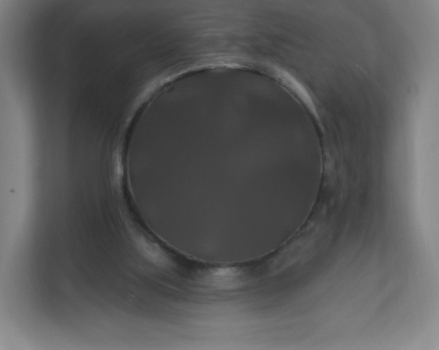 X0000112200059200908211549