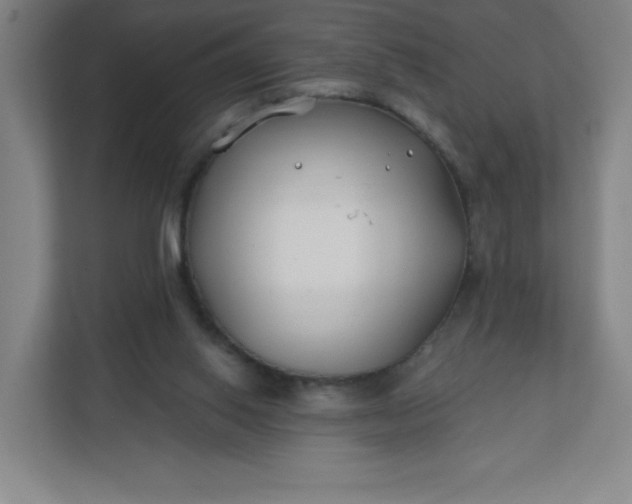 X0000112200062200908211549