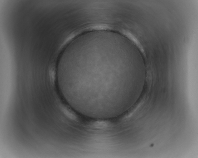 X0000112200063200908211549