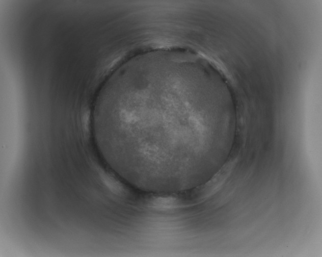 X0000112200066200908211549