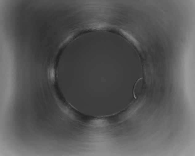 X0000112200067200908211549