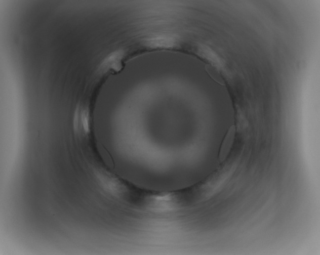 X0000112200068200908211549