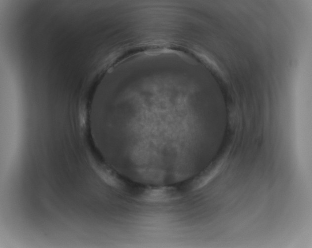 X0000112200072200908211549