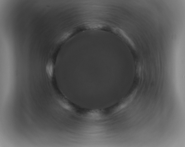 X0000112200076200908211549