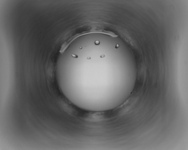 X0000112200078200908211549