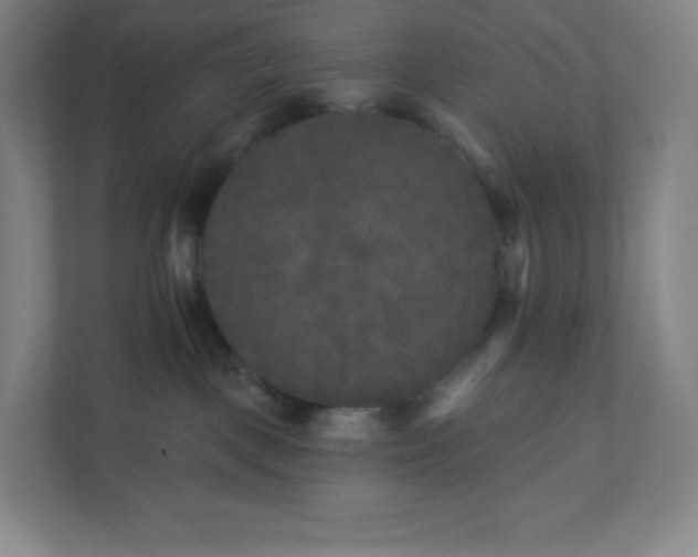 X0000112200093200908211549