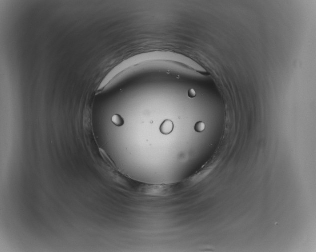 X0000112200096200908211549