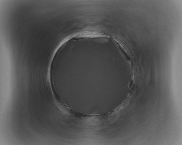 X0000112200100200908211548