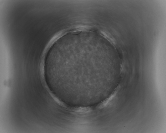 X0000112200101200908211548