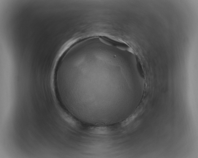 X0000112200104200908211548