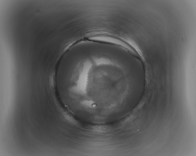 X0000112200105200908211548