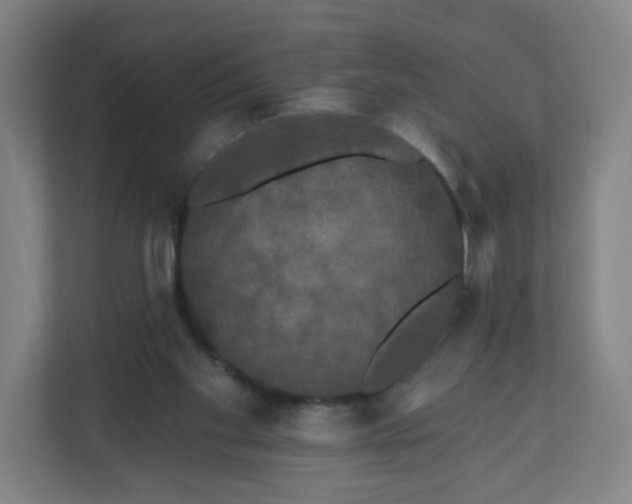 X0000112200109200908211548