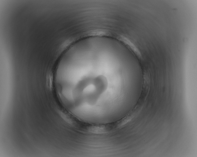 X0000112200110200908211548