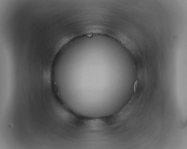 X0000112200112200908211548