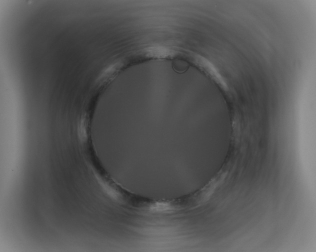 X0000112200114200908211548