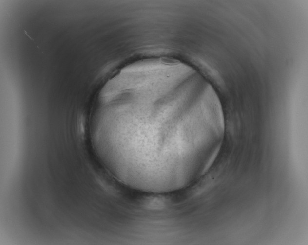 X0000112200115200908211548