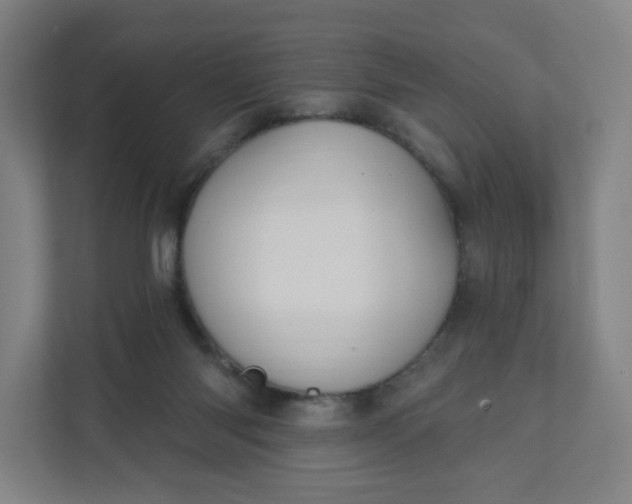 X0000112200118200908211548