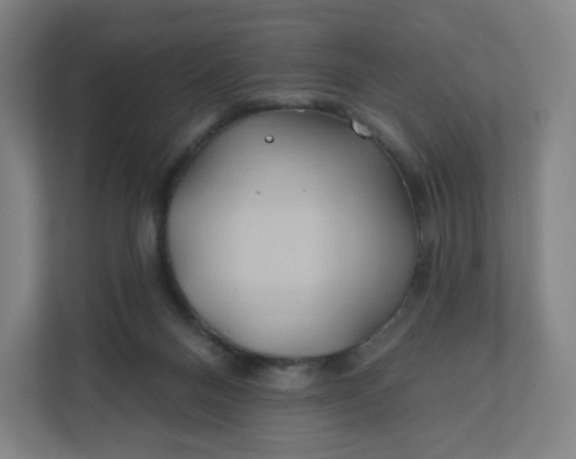 X0000112200120200908211548