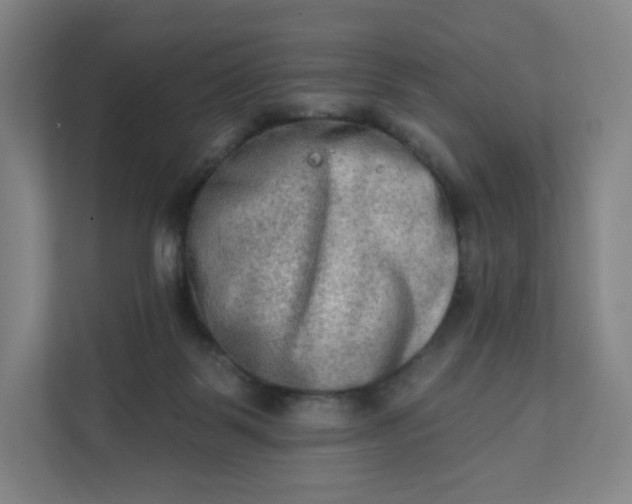 X0000112200123200908211548