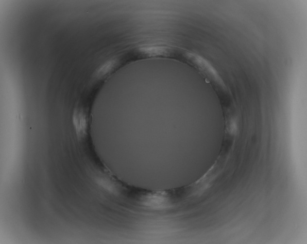 X0000112200124200908211548