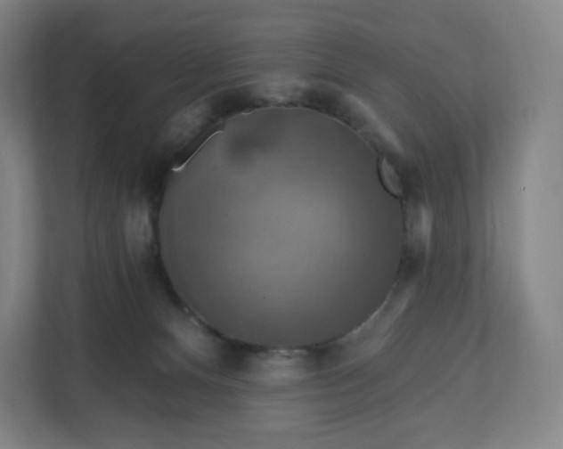 X0000112200128200908211548