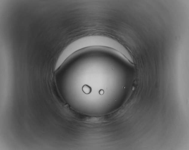 X0000112200129200908211548