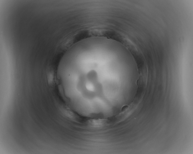 X0000112200134200908211548