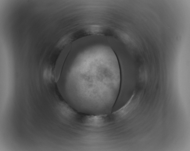 X0000112200140200908211548