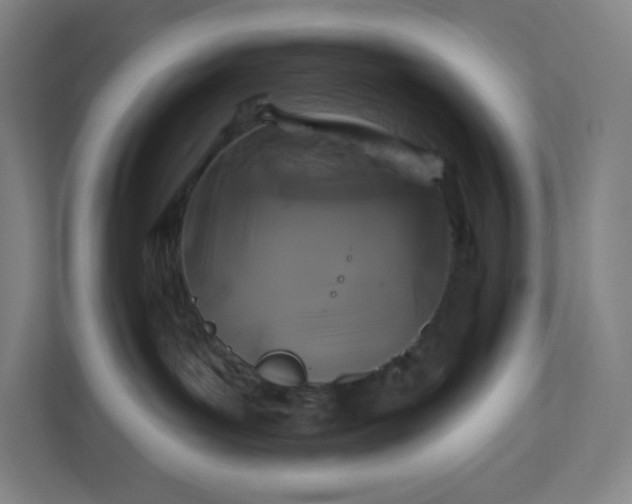 X0000112200143200908211548