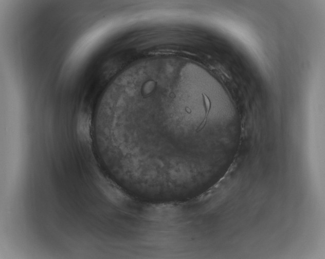 X0000112200146200908211547