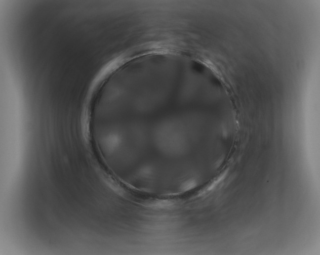 X0000112200149200908211547