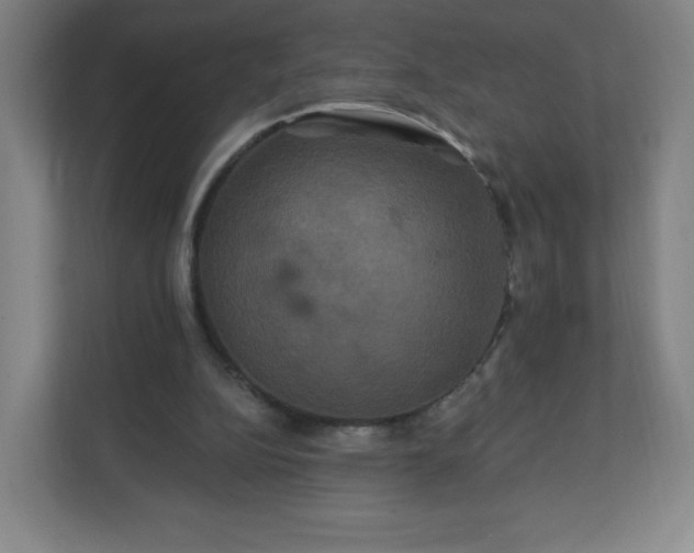 X0000112200152200908211547