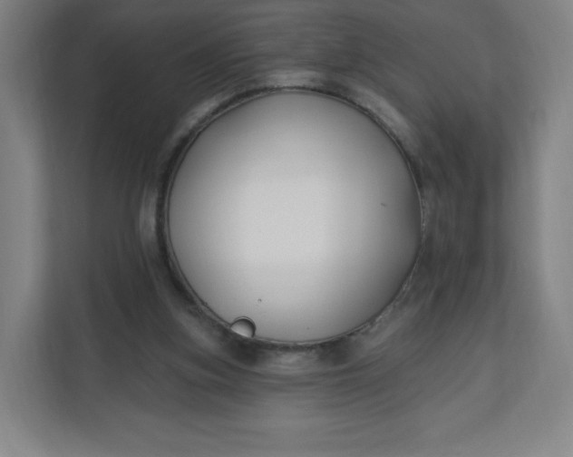 X0000112200155200908211547