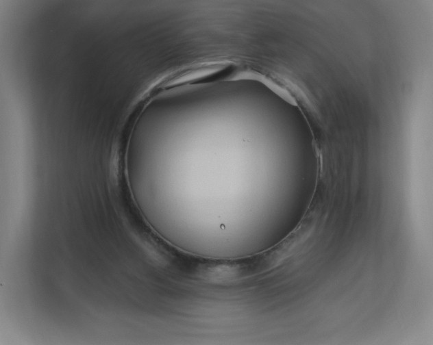 X0000112200156200908211547