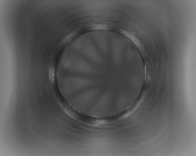 X0000112200157200908211547