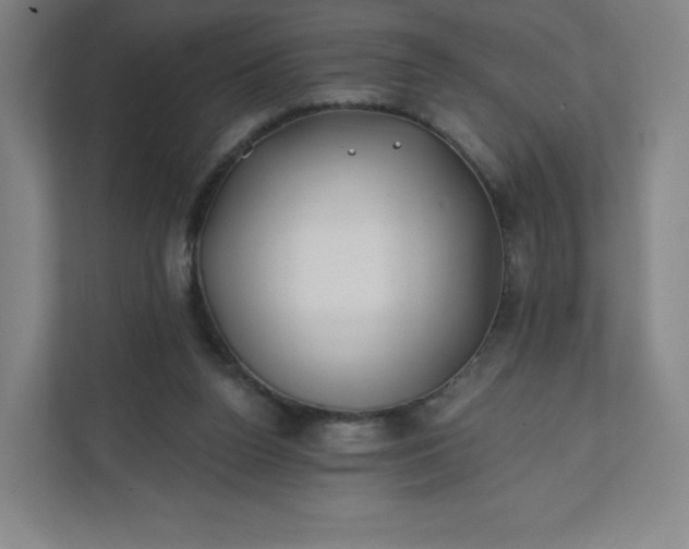 X0000112200160200908211547