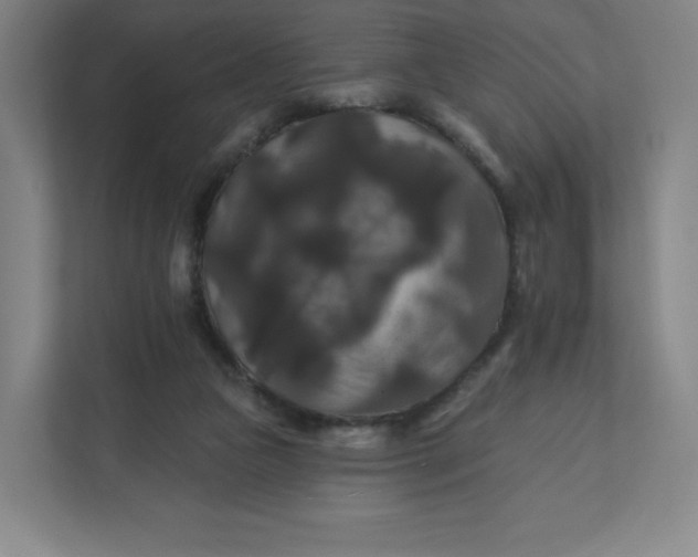 X0000112200161200908211547