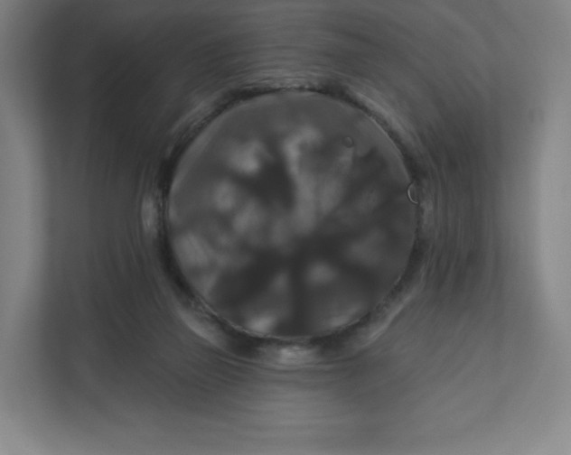 X0000112200165200908211547