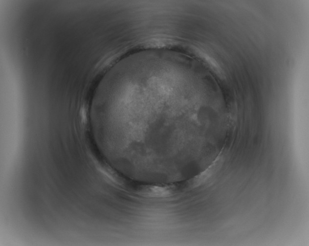 X0000112200166200908211548