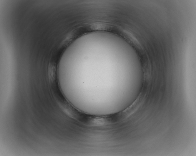 X0000112200171200908211548