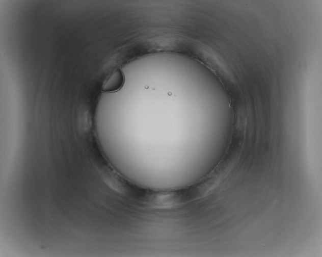 X0000112200173200908211548