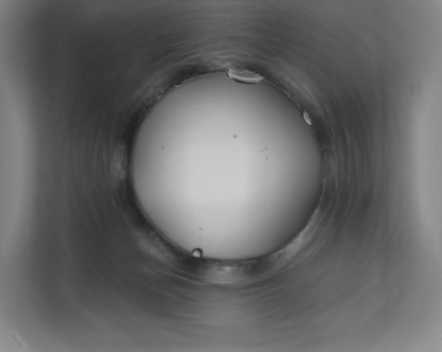 X0000112200174200908211548