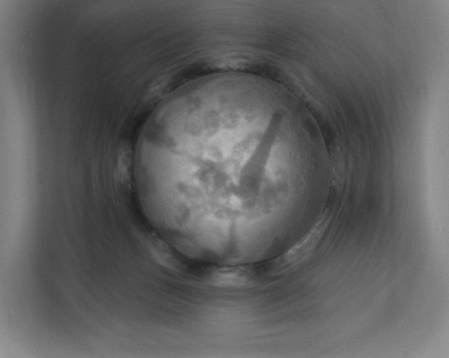 X0000112200175200908211548