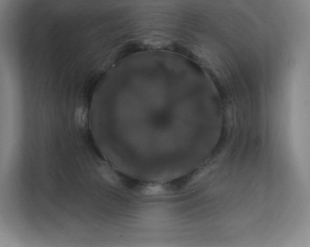 X0000112200177200908211548