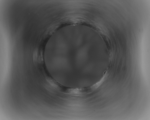 X0000112200182200908211548